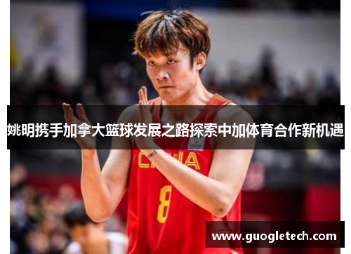 姚明携手加拿大篮球发展之路探索中加体育合作新机遇